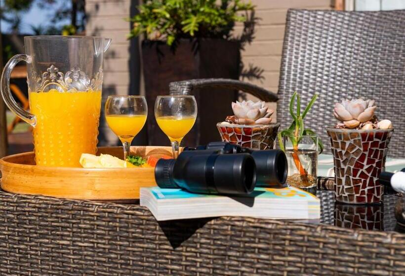 بنسيون Ama Zulu Guesthouse & Safaris