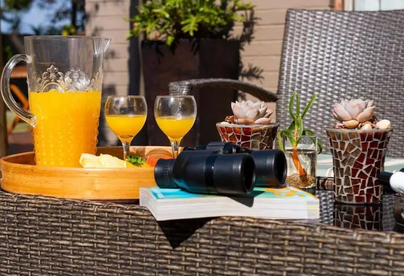 Majatalo Ama Zulu Guesthouse & Safaris