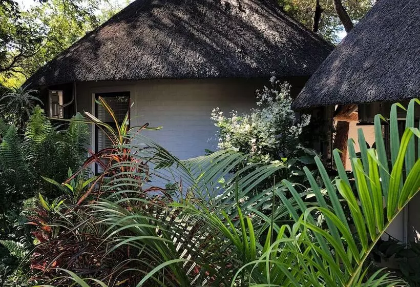 ホテル Pamarah Lodge