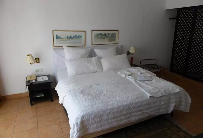 هتل Mercure N Djamena Le Chari