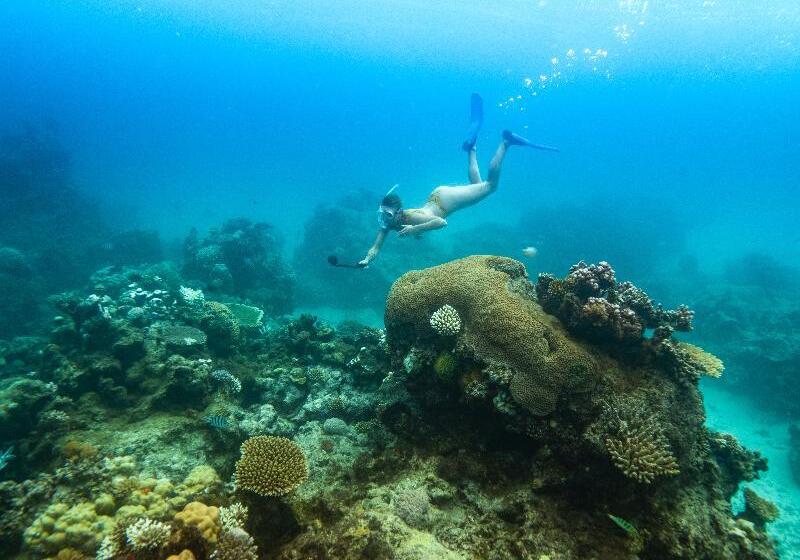 فندق Royal Davui Island Resort   Adults Only