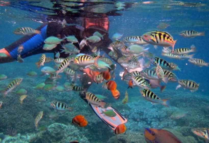 Hotel Tamarind Beach Bungalow