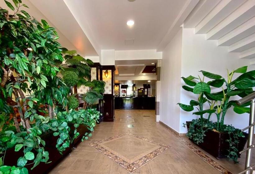 בית מלון כפרי Zimbru