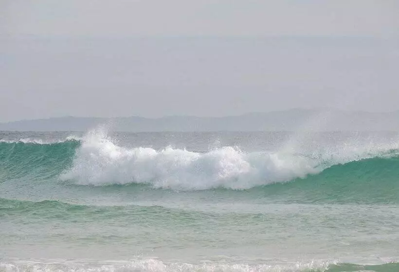 Saltwater Villas  Pet Friendly Accommodation