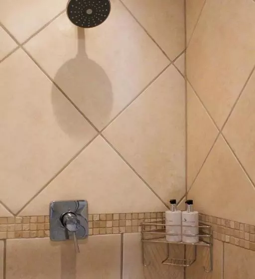 پانسیون Amani Guest Lodge