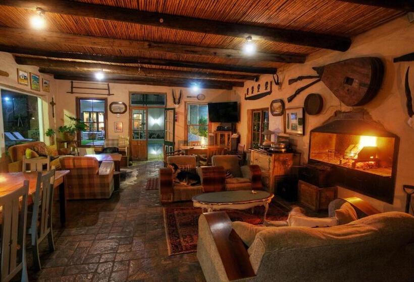 بنسيون The Willow Historical Guest House