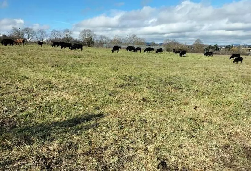 ホテル Rod Ranch Livestock  Stanza Matrimoniale