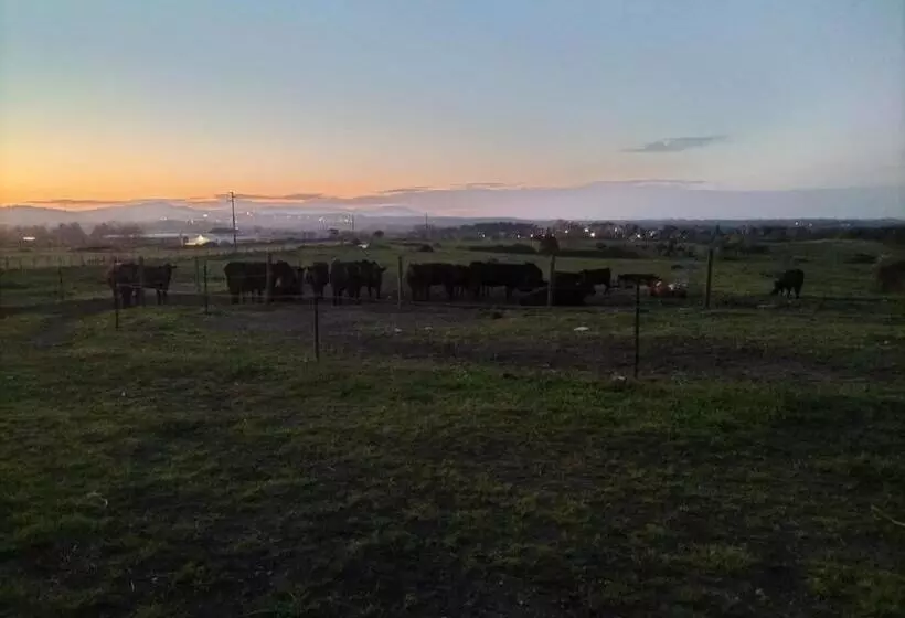 ホテル Rod Ranch Livestock  Stanza Matrimoniale