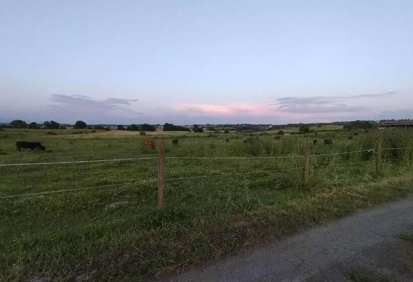 ホテル Rod Ranch Livestock  Stanza Matrimoniale