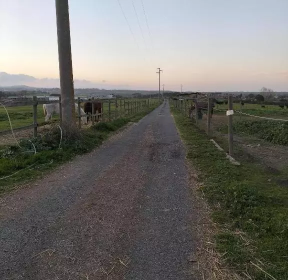ホテル Rod Ranch Livestock  Stanza Matrimoniale