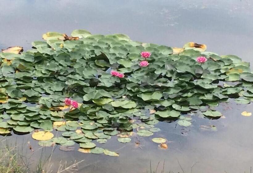 بنسيون стаи за гости La Place студен кладенец