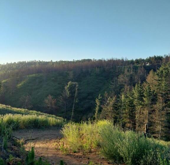 Cabañas Laguna Verde