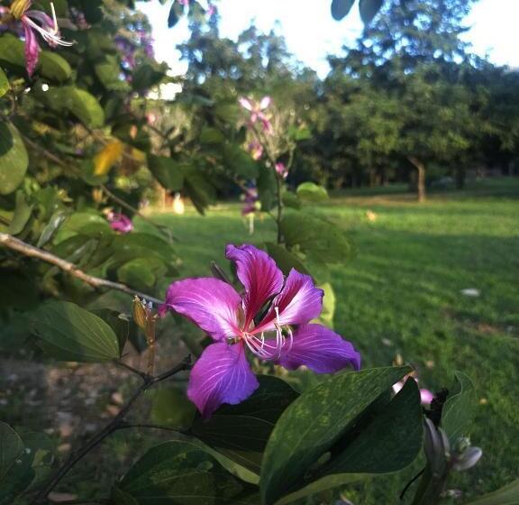 הוסטל Pai Kiniman Resort