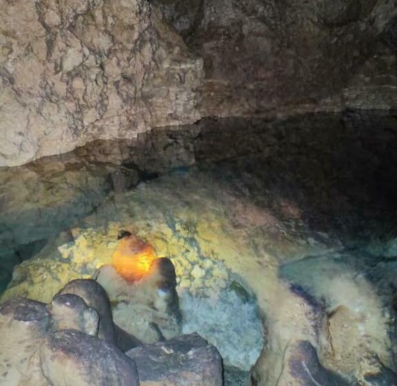 פנסיון Rose Apartments