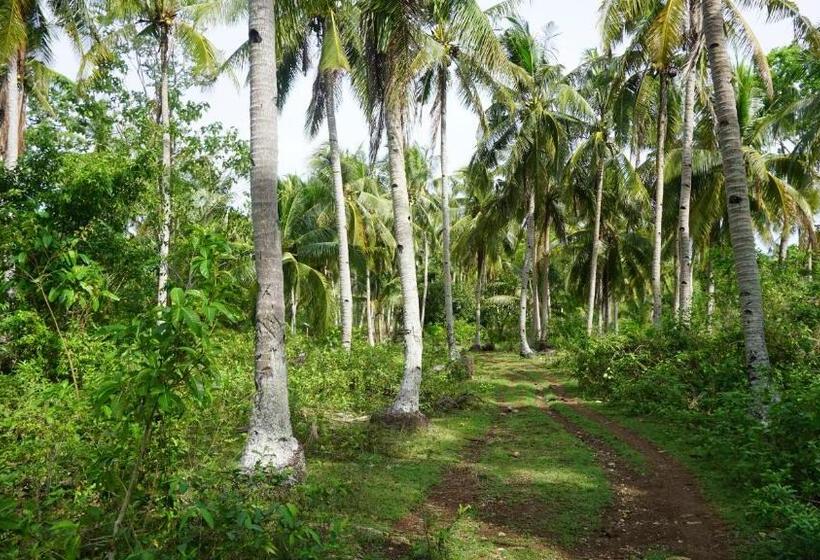 פנסיון Rose Apartments