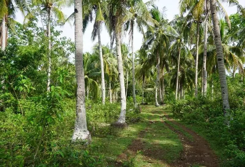 Majatalo Rose Apartments