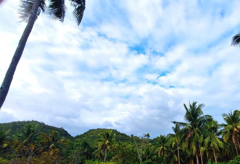 פנסיון Rose Apartments