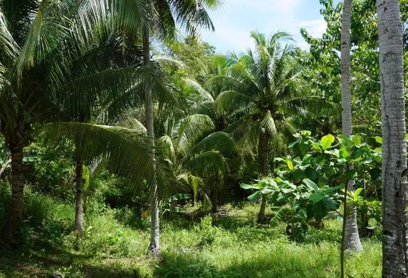 Majatalo Rose Apartments