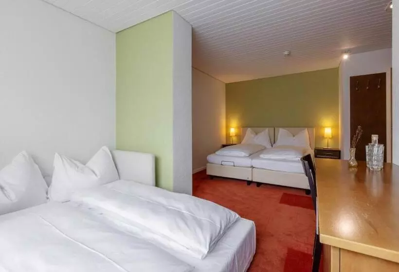 Hotelli Pension Arosa   Self Check In