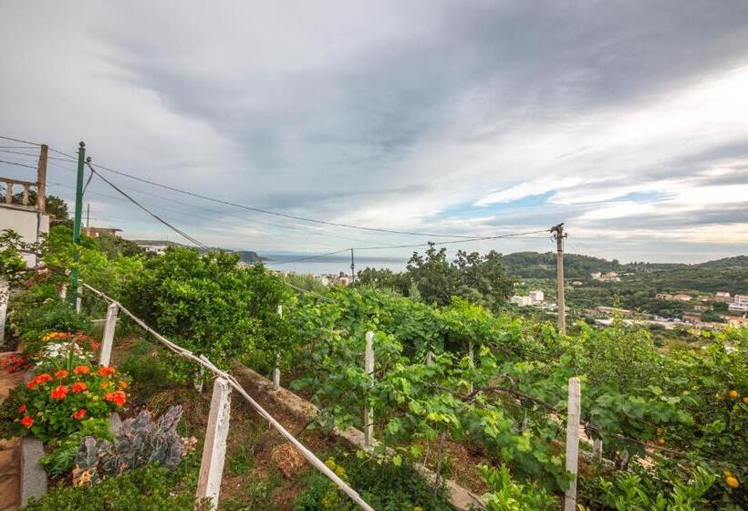 פנסיון Villa Rondo