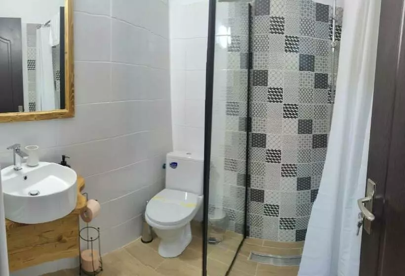 Pensiunea Trei Brazi Arieseni