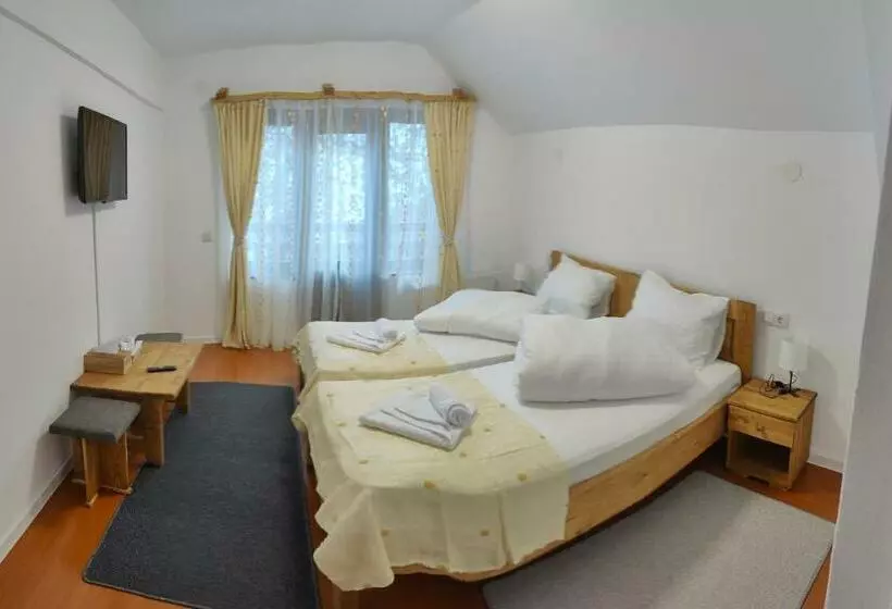 Pensiunea Trei Brazi Arieseni