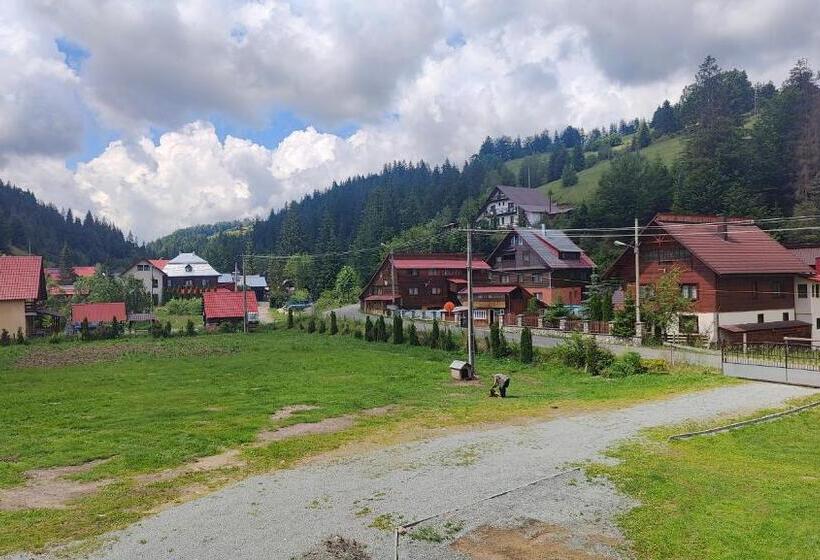 Pensiunea Trei Brazi Arieseni