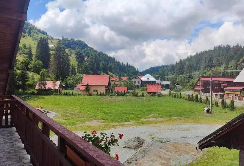 Pensiunea Trei Brazi Arieseni