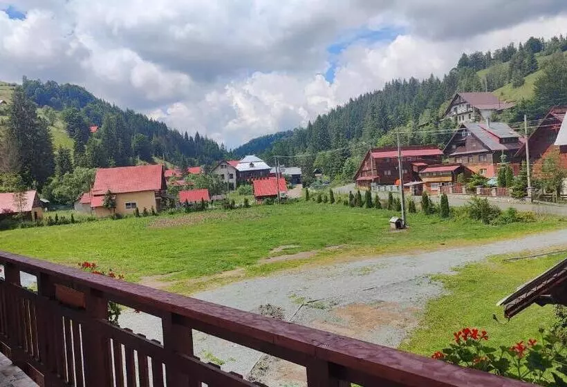 Pensiunea Trei Brazi Arieseni