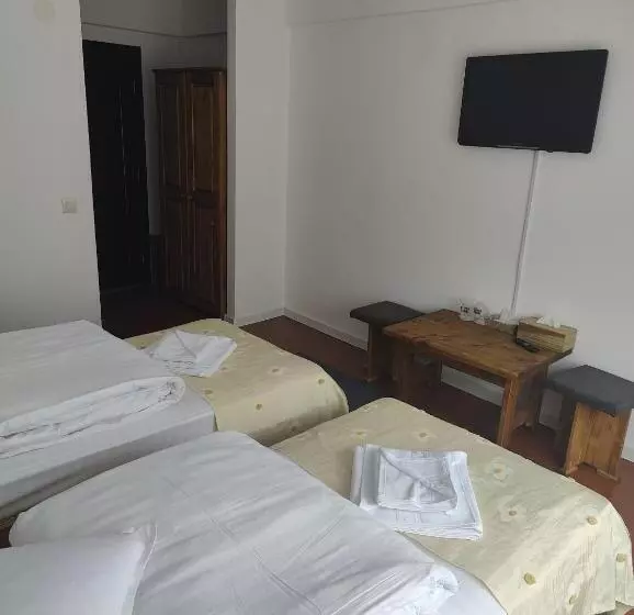 Pensiunea Trei Brazi Arieseni