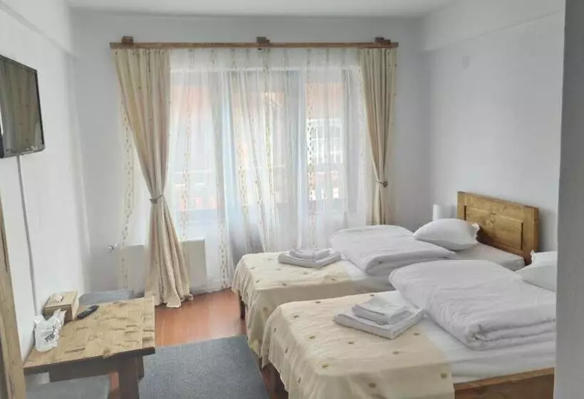 Pensiunea Trei Brazi Arieseni