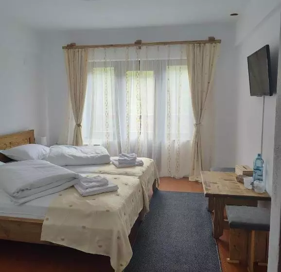 Pensiunea Trei Brazi Arieseni