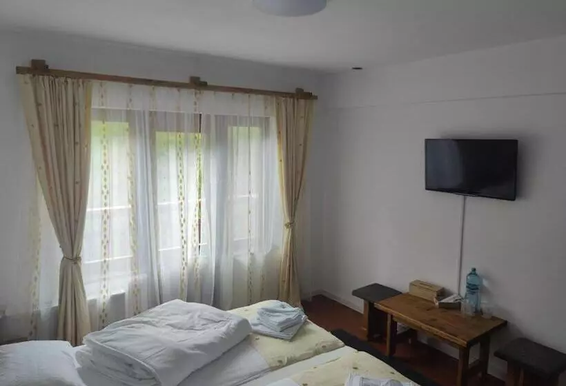 Pensiunea Trei Brazi Arieseni