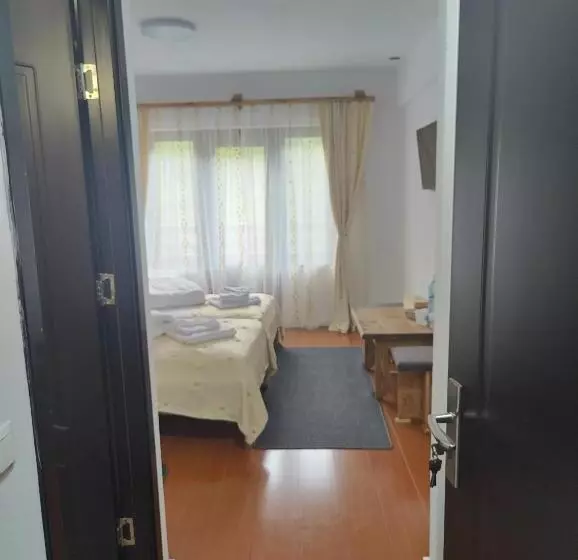 Pensiunea Trei Brazi Arieseni