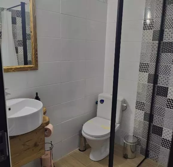 Pensiunea Trei Brazi Arieseni