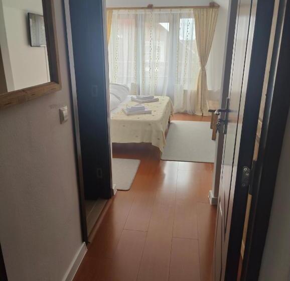 Pensiunea Trei Brazi Arieseni