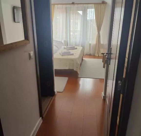 Pensiunea Trei Brazi Arieseni