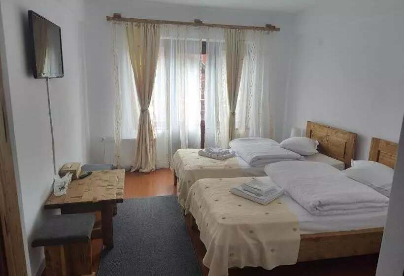 Pensiunea Trei Brazi Arieseni