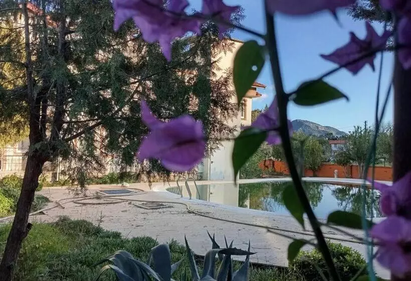 Nosi Otel Dalyan Otelleri̇