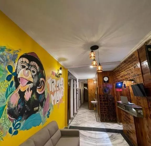 Travel Monkey Hostel