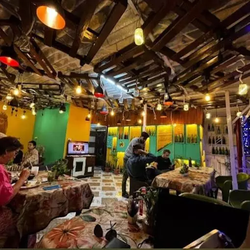 Travel Monkey Hostel