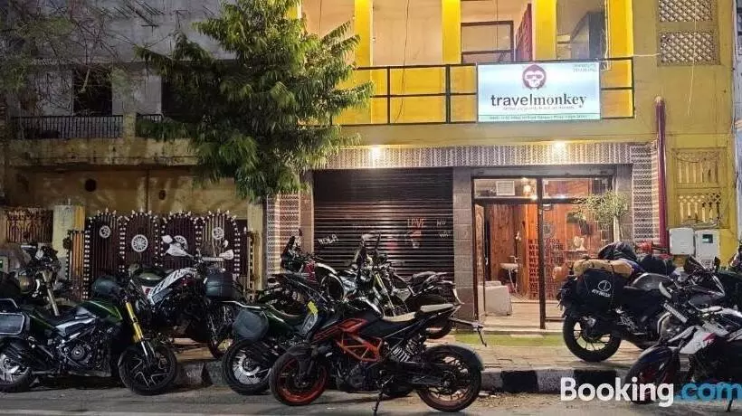 Travel Monkey Hostel