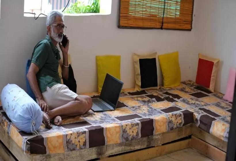 Travel Monkey Hostel
