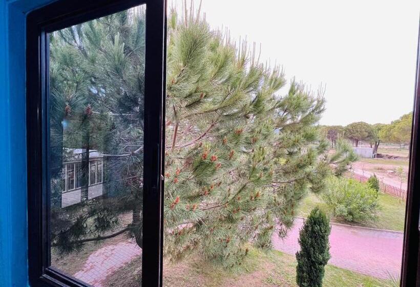 پانسیون Favela Chic Room