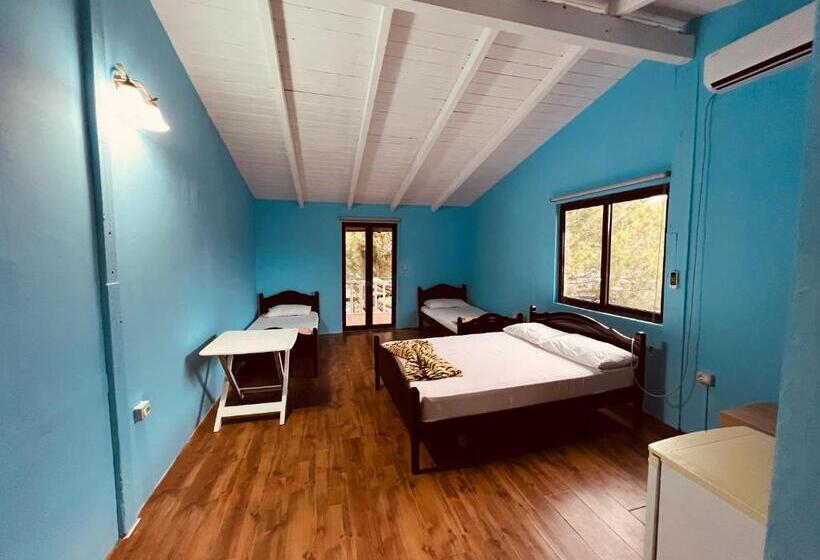 پانسیون Favela Chic Room