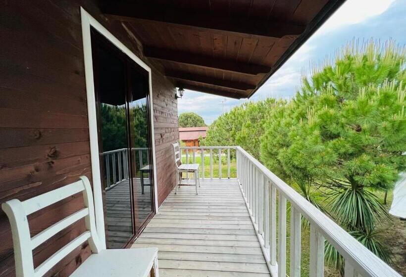 پانسیون Favela Chic Room