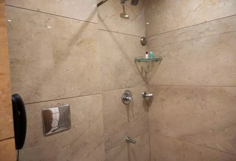 ホテル Raaj Svastik Inn