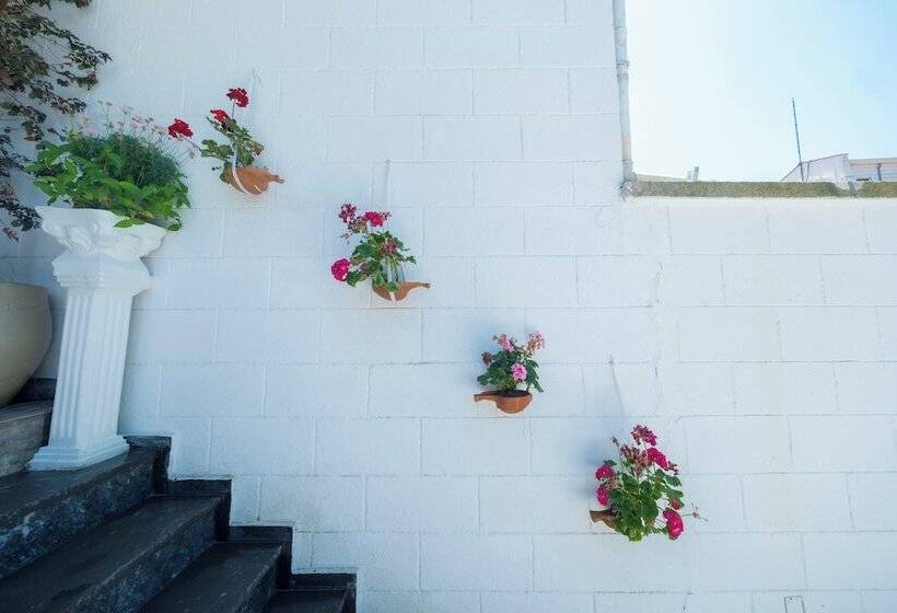 Solomon S Mansion Hotel Istanbul