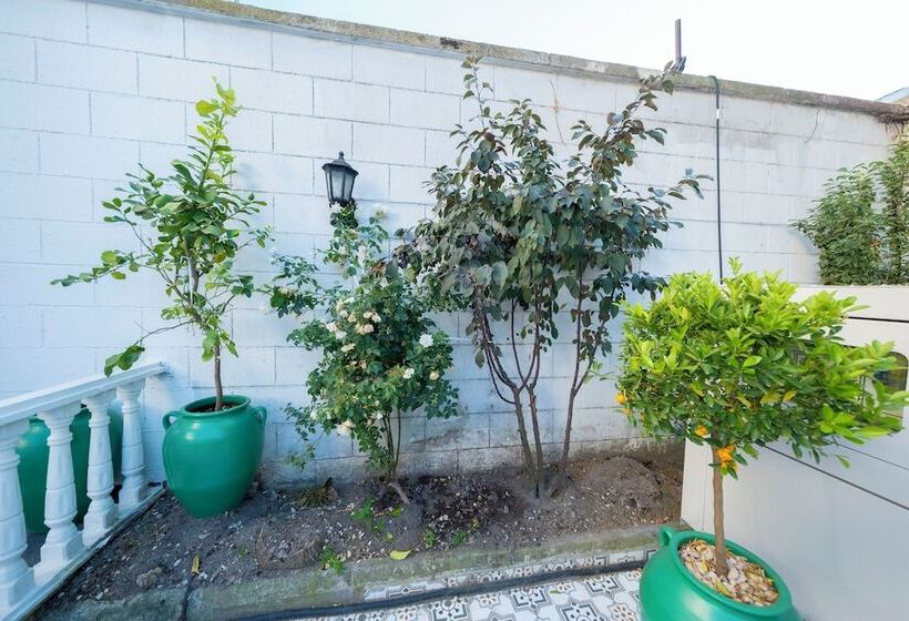 Solomon S Mansion Hotel Istanbul