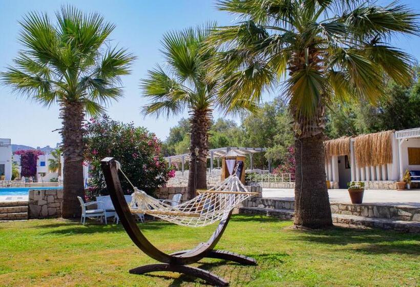 Bed and Breakfast Ladonia Hotels Zemda Gümüşlük